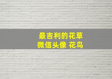 最吉利的花草微信头像 花鸟